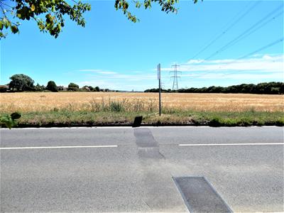 Picture 23